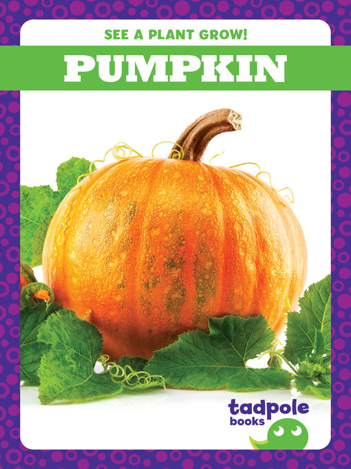 Cover image for Pumpkin